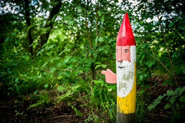 National Park de Groote Peel | VVV Hart van Limburg